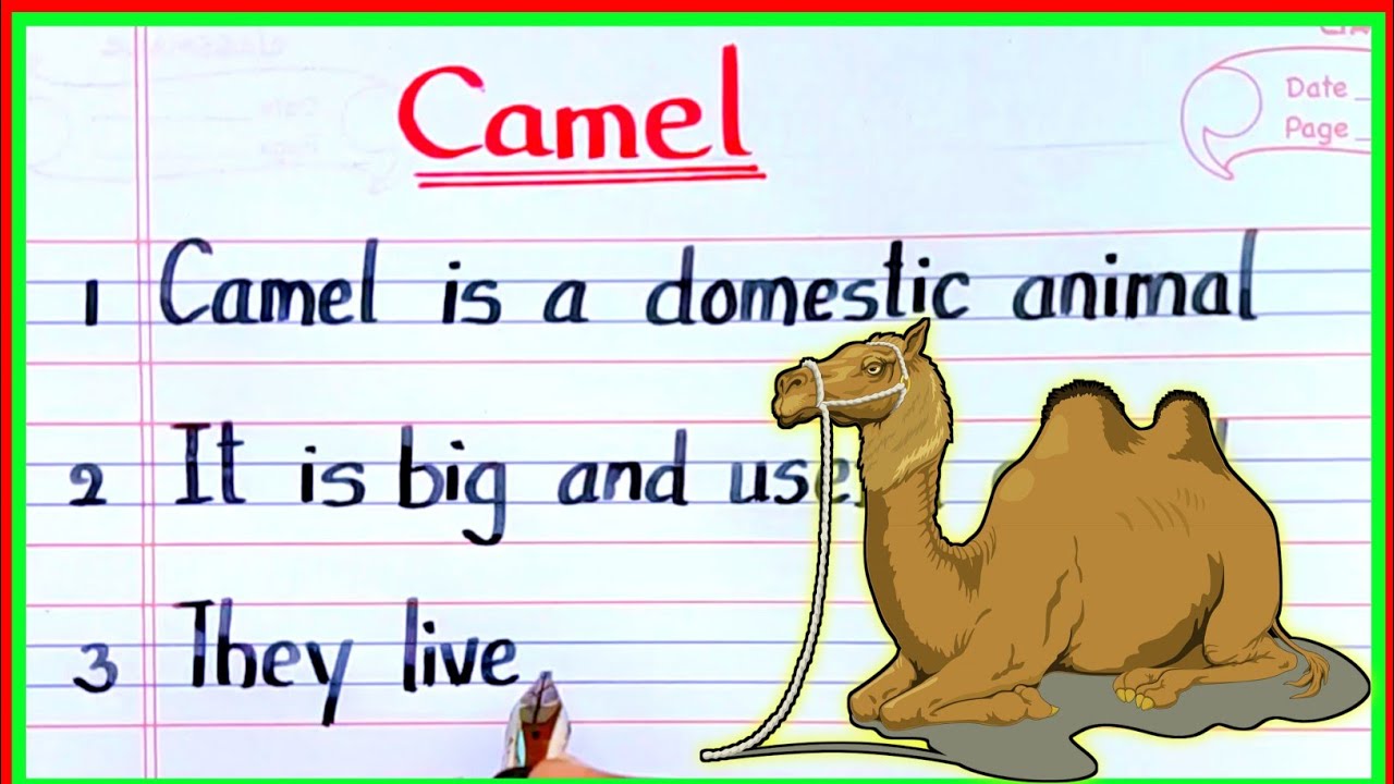 camel essay for class 8