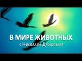 В мире животных с Николаем Дроздовым  Выпуск 02 (2019)