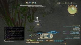 Final Fantasy XIV - Fisher L68 Quest - Catching Dafangshi HQ