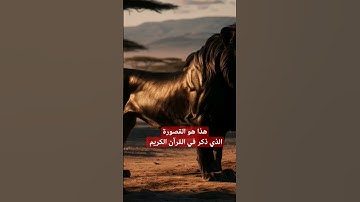 القسورة هو الأسد الأسود وهو نادر جدا