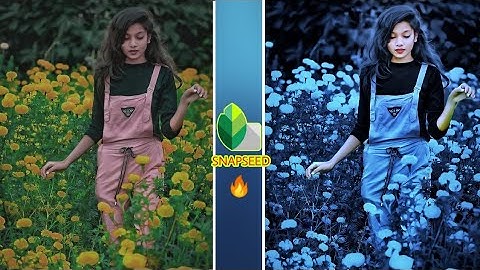 Snapseed  moody blue photos editing | snapseed photo editing 2021 | snapseed