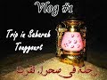 Vlog 1 Trip In Saharah Touggourt فلوق 1 رحلة في صحراء تقرت Vlog 1 Trip In Saharah Touggourt فلوق 1 رحلة في صحراء تقرت