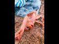 Sequence 01 19 011
