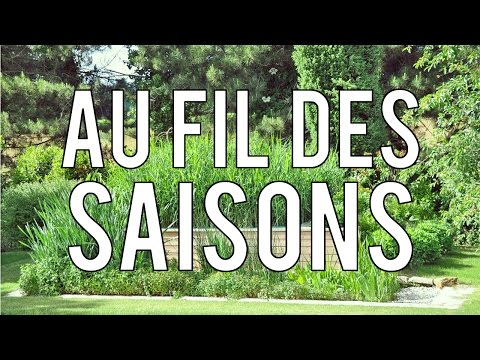 Les Jardins d'Assainissement Aquatiris | Au Fil des Saisons