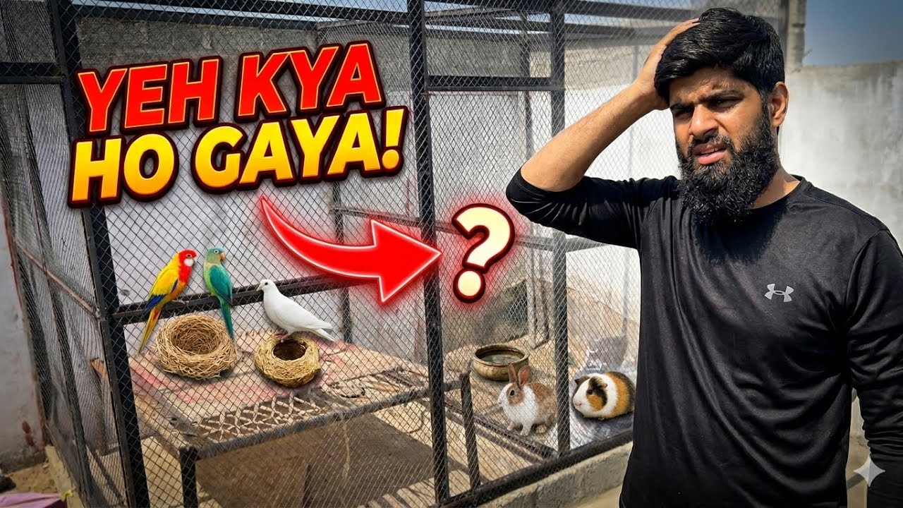 Master Rakha Yeh Kaisa Karigar Hai? 🤔 | Master Cage Mein Gate Hi Nahi Rakha! - YouTube