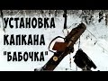 На соболя и куницу капканами | установка капкана "бабочкой" | trap for marten butterfly