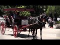 New Orleans Jazz Fest on AXS TV - Inside the Gardens