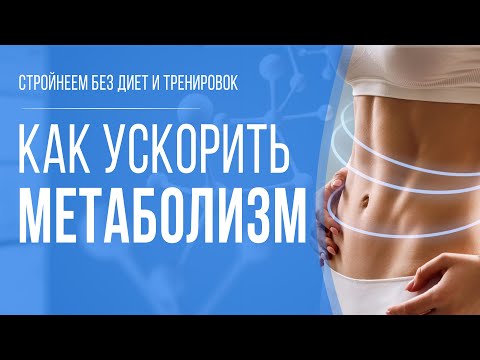 Как ускорить метаболизм. Основные безопасные способы разгона обмена веществ 16+