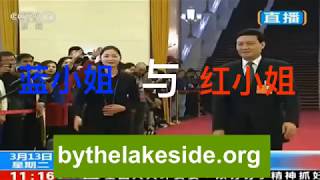 Download lagu 蓝小姐与红小姐 双色事件 在湖边原视频 蓝小姐与红小姐 双色事件 在湖边原视频
