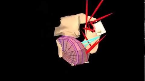 Orofacial Biomechanics Simulation
