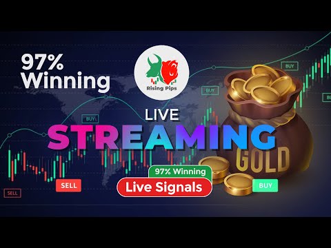 Forex Live Trading Signal – 11-05-2023