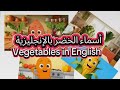 أسماء الخضر بالإنجليزية Vegetables In English 
