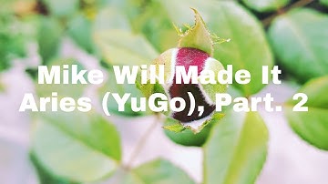 Mike WiLL Made-It, Rae Sremmurd, Big Sean - Aries (YuGo) Part 2 ft. Quavo, Pharrell