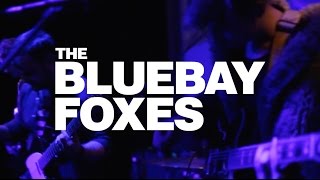 The Bluebay Foxes - Kikeltető szavazás