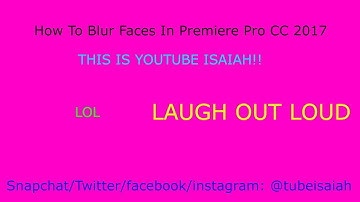 How to Blur Faces in Premiere Pro CS6