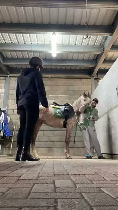 السكب ١١
