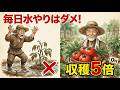 葉っぱが黄色い？絶対やめて！初心者が陥る「逆効果」な10の過ち — 威力500%の解決策 #家庭菜園 #有機農業 #自然農法