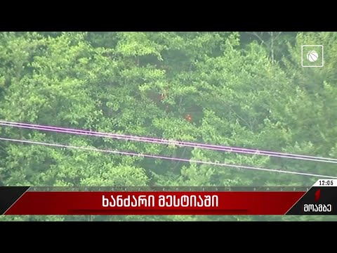 მესტიის მუნიციპალიტეტის სოფელ ლატალში ხანძარი ლოკალიზებულია