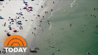 Beaches on high alert after string of shark sightings and attacks