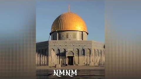 (يا ليتني كنت معهم فأفوز فوزا عظيماء ) تلاوه خاشعة للقارئ الشيخ ماهر المعيقلي  . NMNM