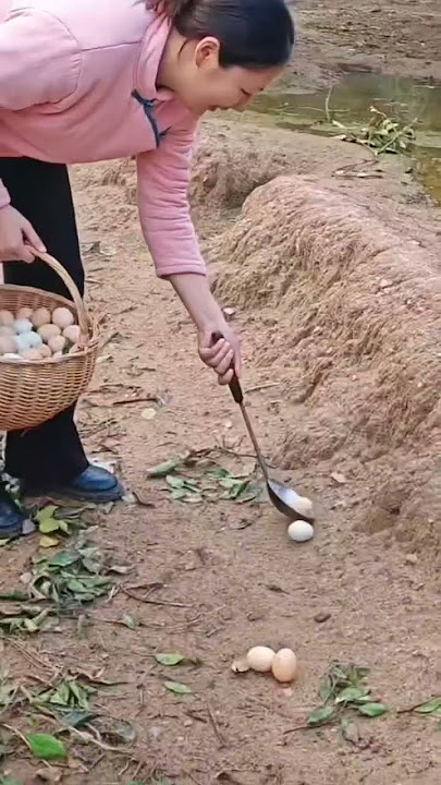 Harvest chicken eggs! #xuhuong #thinhhanh #animals #fyp #subscribe #shorts # #viralshorts
