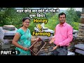 मधुमक्खी पालन कैसे करें | Honey Bee Keeping Farming In India | Madhumakhi Palan In Hindi