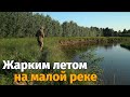 Одиночный кемпинг летом на берегу реки. Война с оводами и слепнями, ловля ельца, жареная картошка.