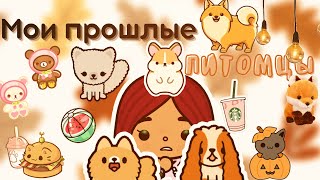 Мои прошлые питомцы 🐶🐈💗 ///что я пережила?😪/// тока бока /// toca boca /// Secret Toca