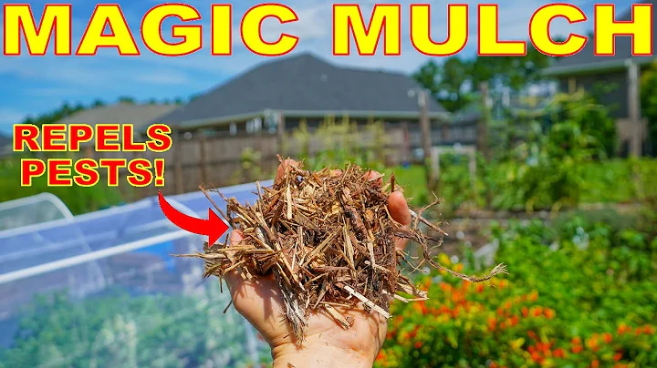 This MAGIC MULCH Repels Pests And Smells AMAZING