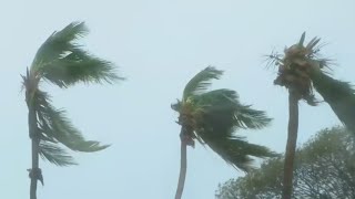 Hurricane Fiona knocks out power in Puerto Rico