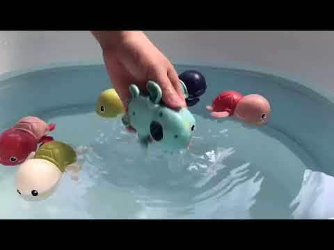 Video: Tenggelam Atau Berenang: Bisakah Kura-kura Berenang?