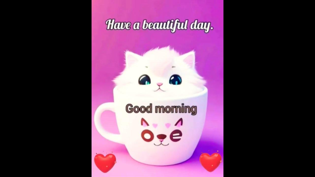 good morning good morning status good morning status video shorts