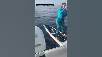 Paddle boarder trailed by shark during relay race from The Bahamas to Florida