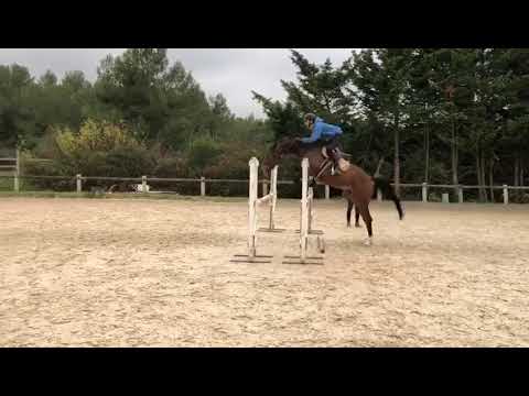 escort au travail