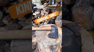Splitting Wood for Kindling 🪵 #shorts