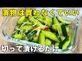 【きゅうり大量消費】調味料2つでプロの味！きゅうりの一番旨い食べ方│簡単副菜