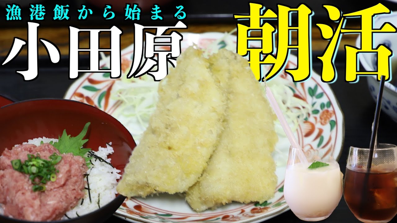 絶品の漁港飯とおしゃれなカフェで癒される最高の朝活【神奈川県 小田原市 観光 vlog】