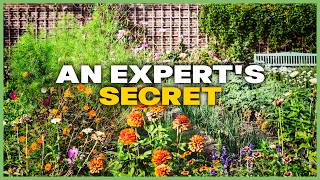 Expert Tips for Keeping Your Backyard Healthy ALL YEAR ROUND!