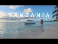 TANZANIA TRAVEL VLOG | Serengeti & Zanzibar