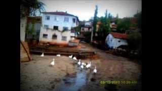 Kızılcin Köyü Zi̇le Tokat