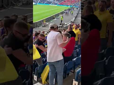 Болельщика с флагом России побили на матче Украины против Швеции