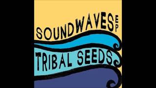 Tribal Seeds - Soundwaves (Ft. Eric Rachmany) chords