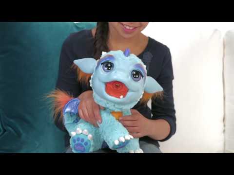 Video: Wacky Pet-tuotteet SuperZoo 2012: stä