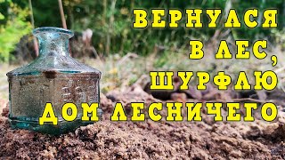 Вернулся в лес, шурфлю дом лесничего. Лесной коп.