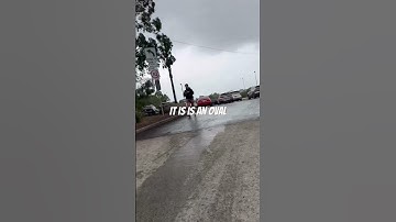 Bressington Park at Homebush