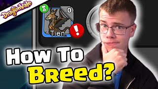 HOW TO BREED TIEN DRAGON! DRAGONVALE 10TH ANNIVERSARY