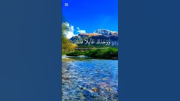 #اكسبلور  # القران الكريم # سورة الضحى # ماهر # المعيقلي