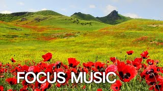 Focus Music for Work and Studying, Background Music for Concentration, Study Music | Poppies