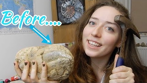 Fossil Friday Ep 3 - Prepping An Ammonite!