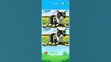 Spot and Find the Differences Level 66 Cat